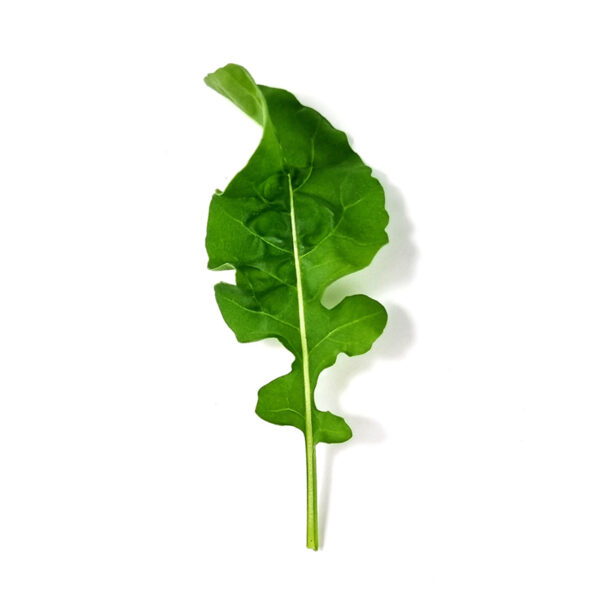 Arugula