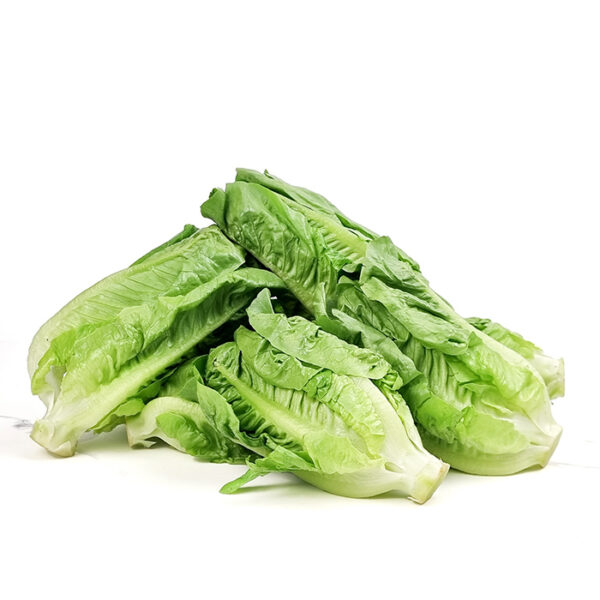 Baby Romaine 1KG
