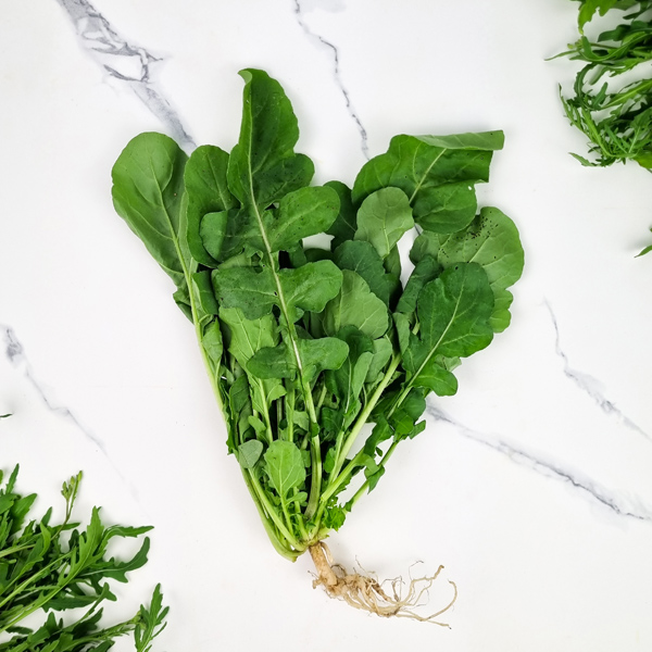 Arugula Rucola (BIG)1KG