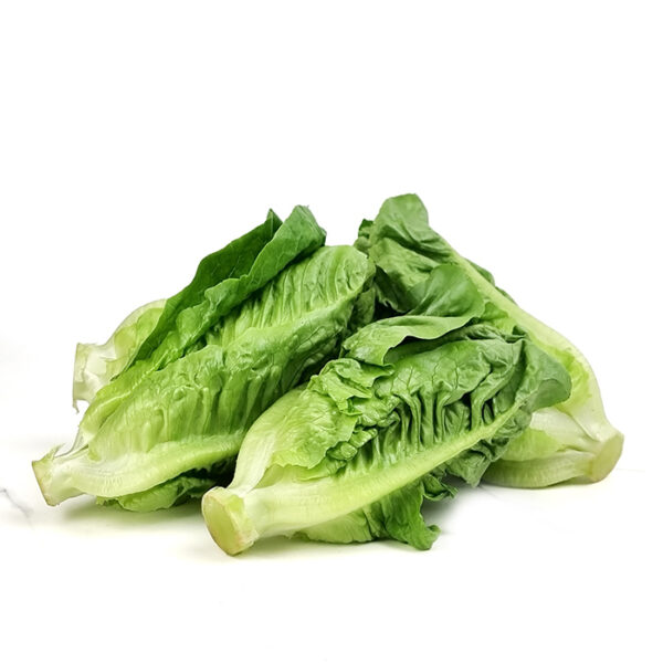 Baby Romaine 500G