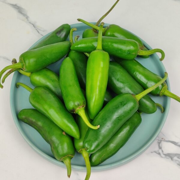 Fresh Jalapeno 1kg